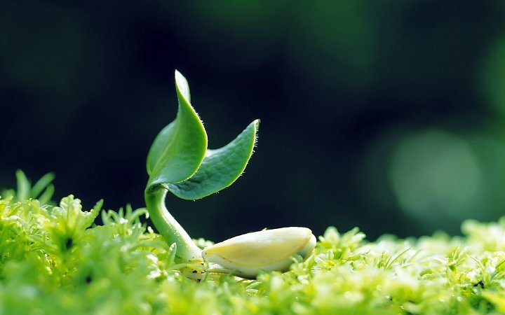 giá trị cuộc sống