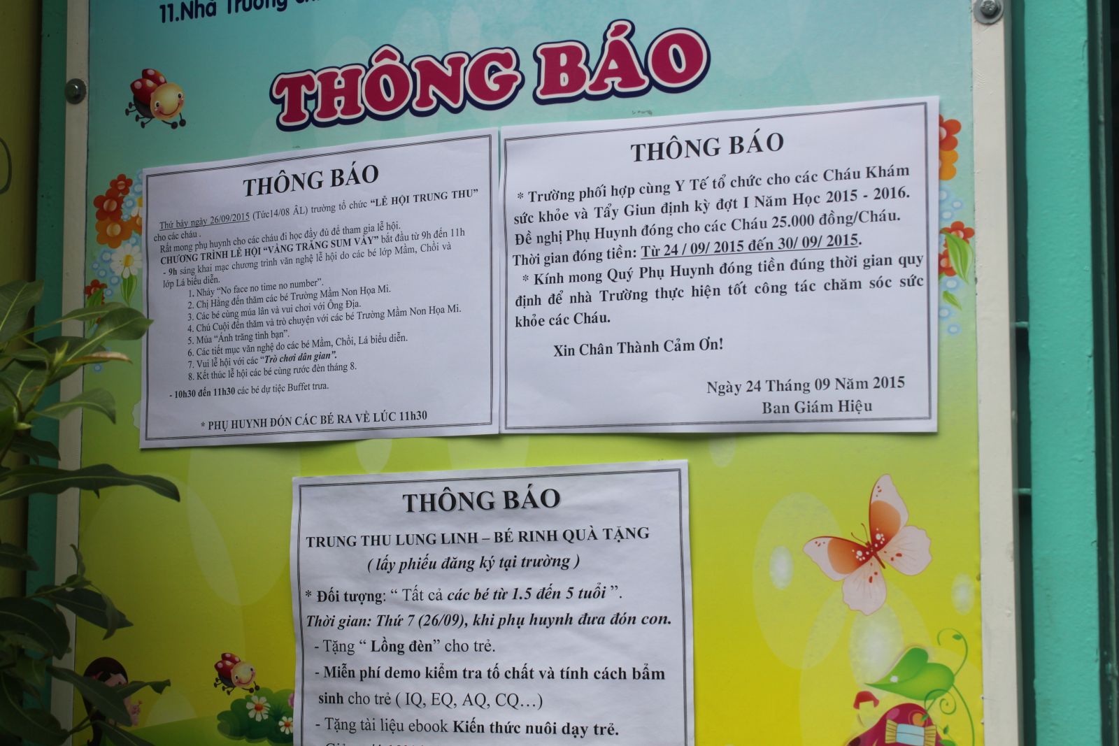 sinh trắc học dấu vân tay