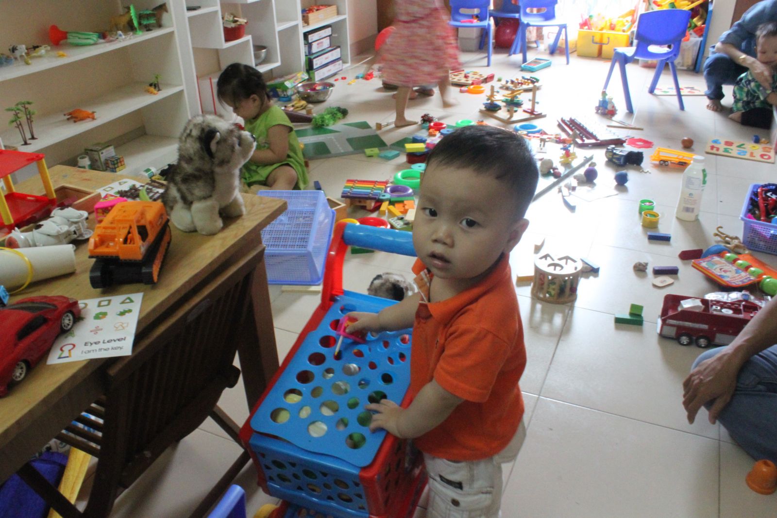 sinh trắc học dấu vân tay